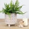 Hello Honey® 8" Footed Stoneware Planter with Abstract Print